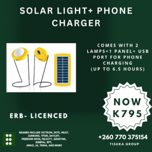 Solar Light and Phone Charger